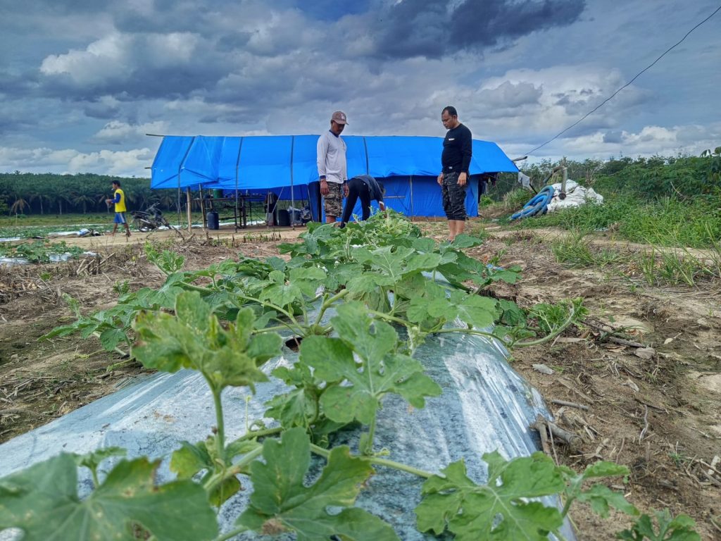 e98178e9-2496-473f-be0d-2ece4d01abb2