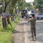 Pol PP Tertibkan ODGJ dan Puluhan Banner Terpaku di Pohon Penghijauan