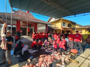 feda21df-faf5-4ddb-aaab-c47bf9317009